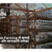 Mushroom Farming