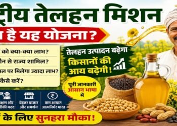 NMEO Oilseeds