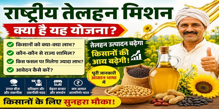 NMEO Oilseeds