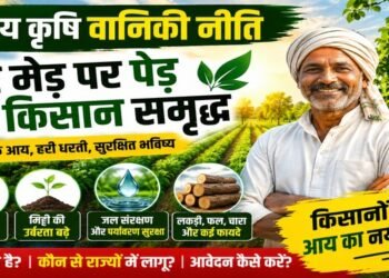 National Agroforestry Policy