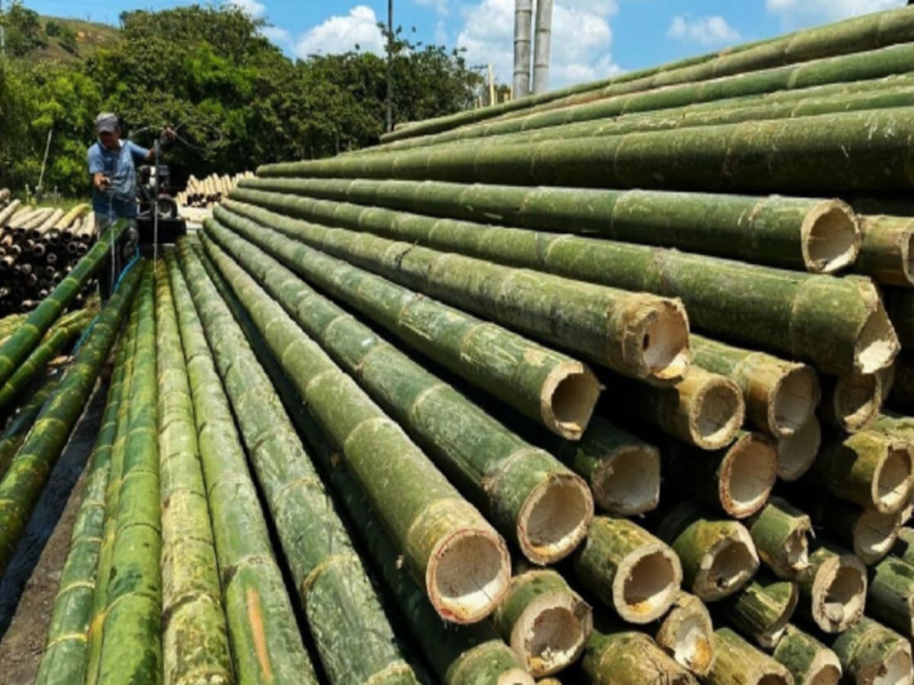National Bamboo Mission 2026