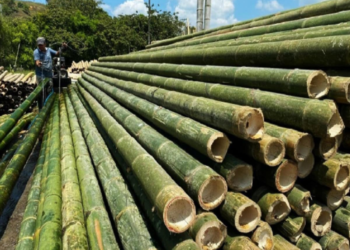 National Bamboo Mission 2026