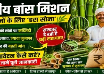 National Bamboo Mission 2026