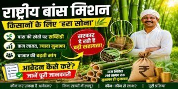 National Bamboo Mission 2026