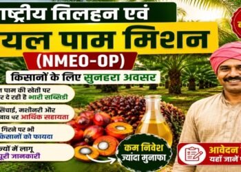Oil Palm Mission India