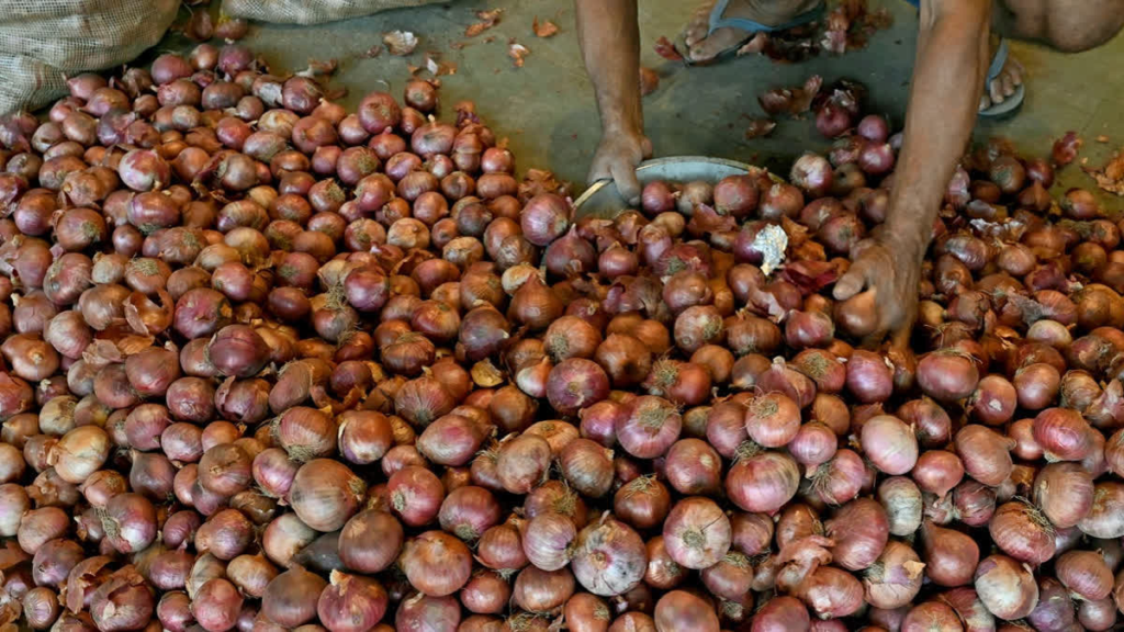 Onion Procurement