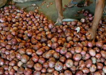 Onion Procurement