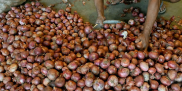 Onion Procurement