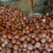 Onion Procurement