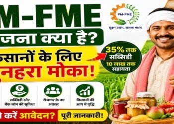 PM-FME Scheme