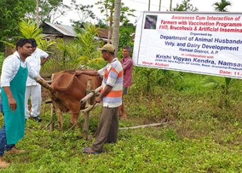 NADCP Scheme