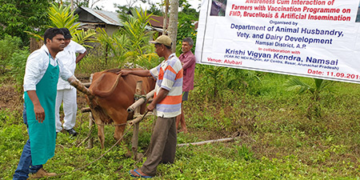 NADCP Scheme
