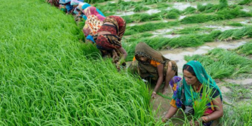 Rashtriya Krishi Neeti
