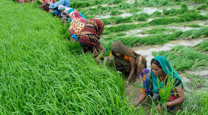 Rashtriya Krishi Neeti
