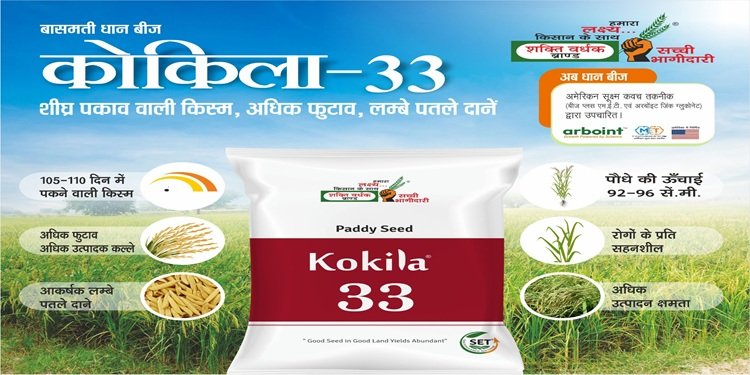 धान की खेती: इस सीजन बंपर पैदावार के लिए किसान अपना रहे हैं आधुनिक धान बीज, जानें कैसे बदल रही है किस्मत