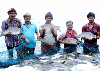 Fisheries Scheme