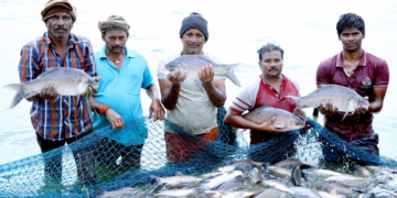 Fisheries Scheme