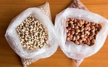 आईसीएआर-आईआईओआर की स्मार्ट सीड कोटिंग तकनीक से खेती होगी जलवायु अनुकूल, मूंगफली और सोयाबीन में 30% तक अधिक उपज