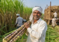 Sugarcane FRP Policy