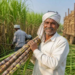Sugarcane FRP Policy