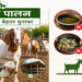 Goat Farming Tips: बकरी पालन में भूलकर भी न करें ये गलतियां, वरना घट सकता है मुनाफा! जानिए विशेषज्ञों के आसान और वैज्ञानिक उपाय