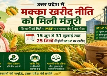 UP Maize MSP