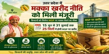 UP Maize MSP