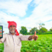 Pusa Krishi App