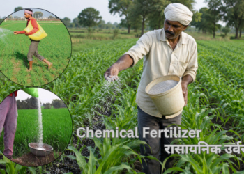 chemical fertilizer