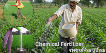 chemical fertilizer