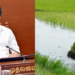 Tamil Nadu Farmers