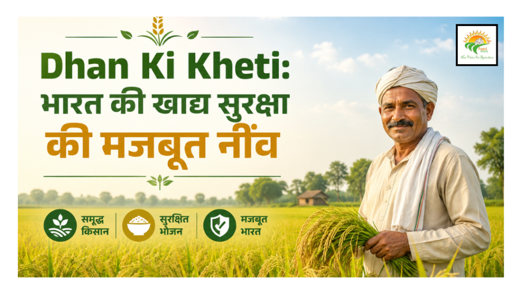 Dhan Ki Kheti