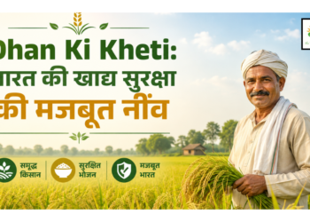 Dhan Ki Kheti