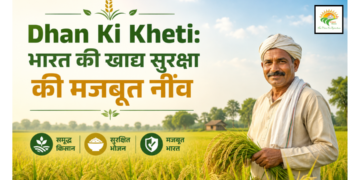 Dhan Ki Kheti