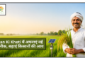Dhan Ki Kheti
