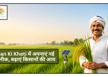 Dhan Ki Kheti