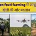 dragon fruit farming