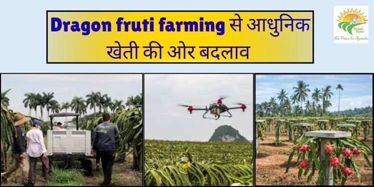 dragon fruit farming