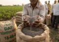भारत में हर सीजन लाखों टन DAP कहां से आता है?