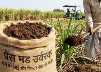 फसल उत्पादकता के लिए प्रेसमड खाद का उपयोग क्यों है जरूरी?