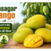 himsagar mango
