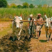 e-Pashu Haat