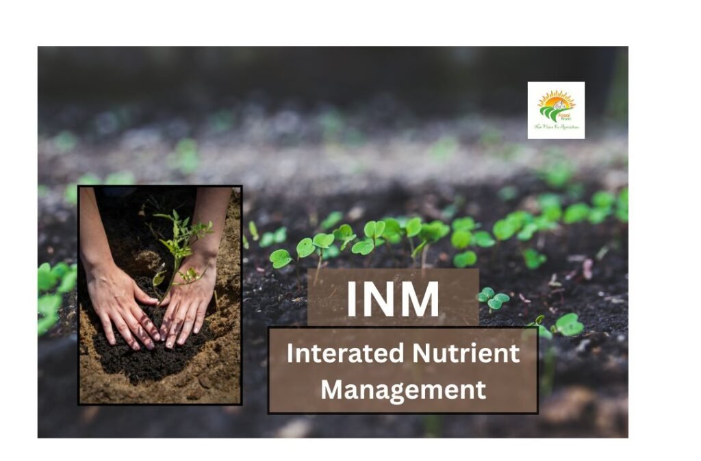 Interated Nutrient Management (INM)