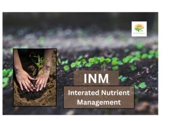inm