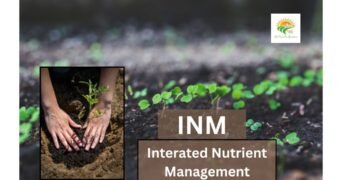 inm