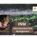 inm