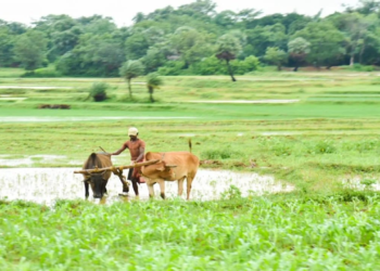 janjatiya up yojana krishi