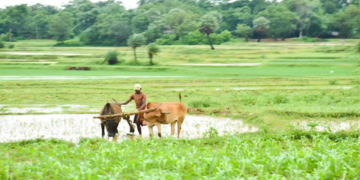 janjatiya up yojana krishi