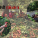 litchi