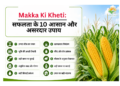 Makka Ki Kheti